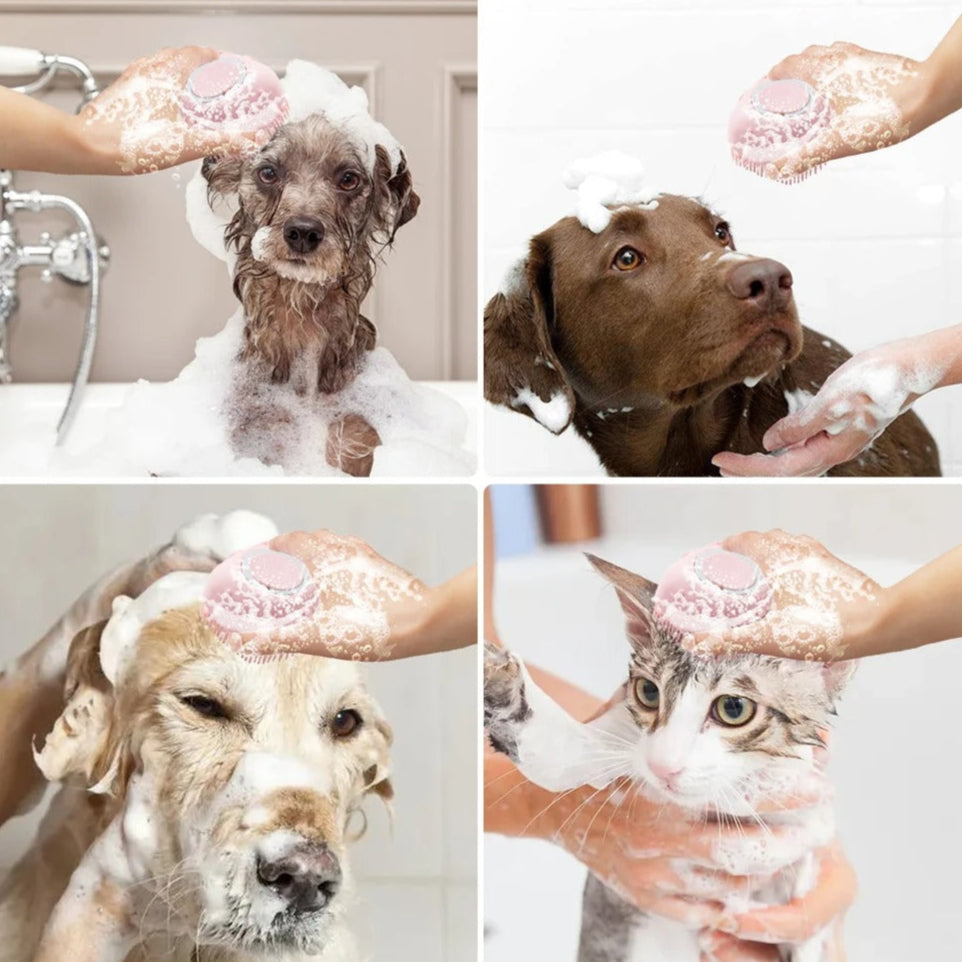 2 in 1 BubblePaws
