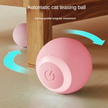 PurrPlay Buddy Ball