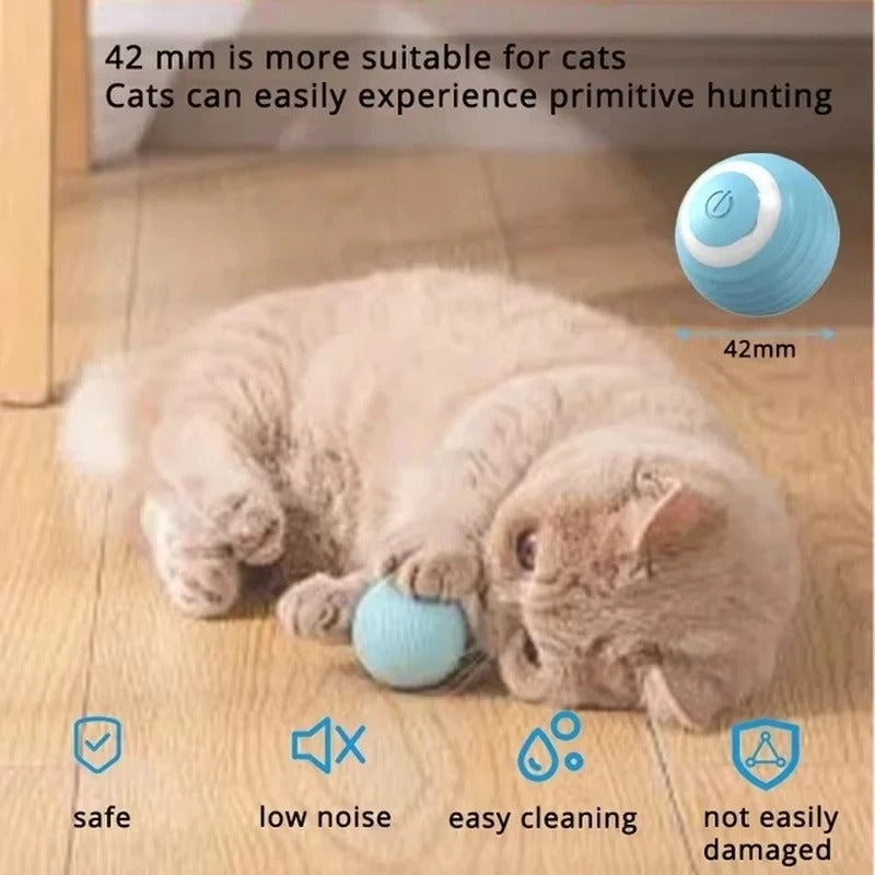 PurrPlay Buddy Ball
